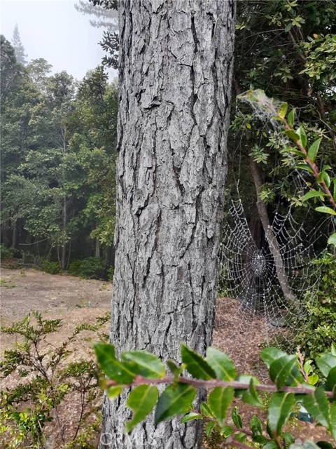 Detail Gallery Image 27 of 58 For 38160 Ocean Ridge Dr, Gualala,  CA 95445 - – Beds | – Baths