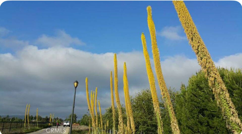 MLS #OC25223719 image #18