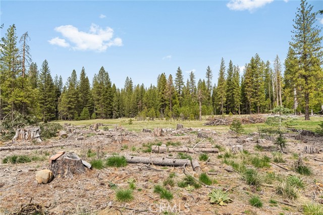 Detail Gallery Image 52 of 72 For 7597 Maddrill, Forest Ranch,  CA 95942 - 3 Beds | 2 Baths