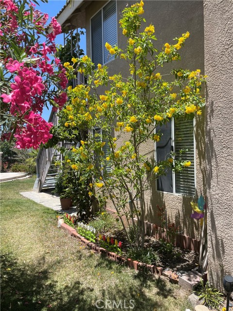 Detail Gallery Image 32 of 42 For 34175 Shaded Meadow Cir, Wildomar,  CA 92595 - 3 Beds | 2/1 Baths