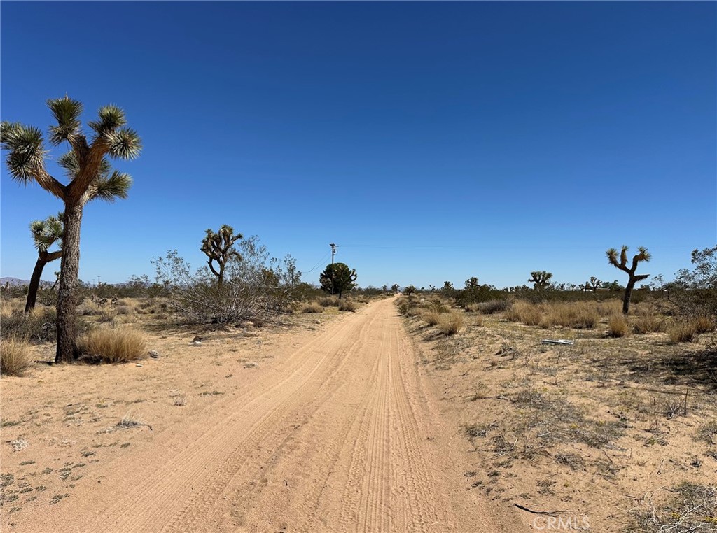 MLS #IV25254922 image #8