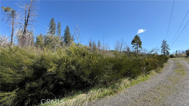 Detail Gallery Image 7 of 12 For 0 Starcrest Ln, Berry Creek,  CA 95916 - – Beds | – Baths