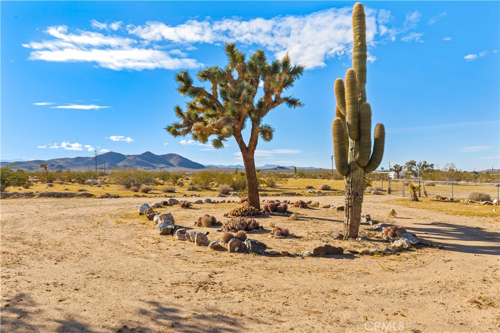 MLS #IV25262213 image #28