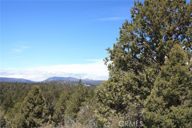 Detail Gallery Image 46 of 55 For 615 Kean Way, Big Bear City,  CA 92314 - – Beds | – Baths