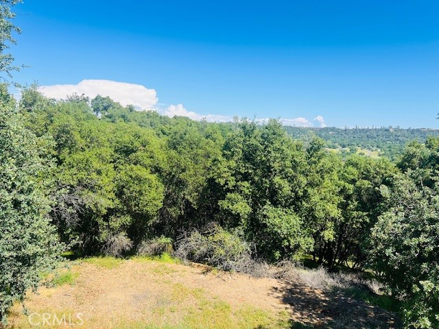 Detail Gallery Image 34 of 75 For 8697 Fraguero Rd, Sonora,  CA 95370 - 4 Beds | 2/1 Baths