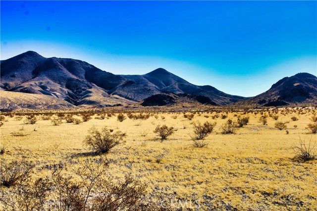 Detail Gallery Image 2 of 42 For 75777 Riverside Rd, Newberry Springs,  CA 92365 - – Beds | – Baths