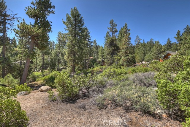 Detail Gallery Image 16 of 19 For 38602 Talbot, Big Bear Lake,  CA 92315 - – Beds | – Baths