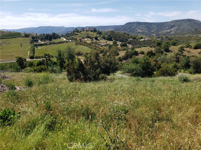 Detail Gallery Image 31 of 39 For 12 Carancho Rd, Temecula,  CA 92590 - – Beds | – Baths