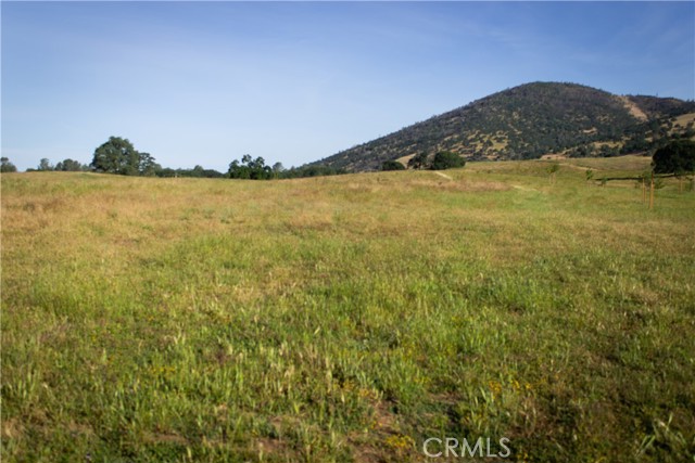 Detail Gallery Image 14 of 47 For 5015 Macready Way, Mariposa,  CA 95338 - – Beds | – Baths