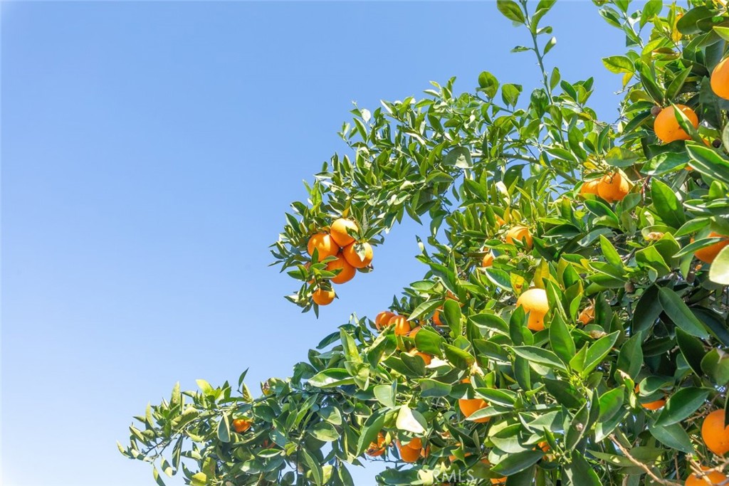 https://media.crmls.org/medias/bc5d0f8d-90d0-4f87-9a20-9c2057a5307c.jpg?preset=X-Large