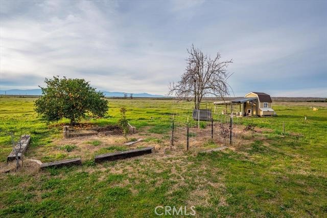 Detail Gallery Image 52 of 60 For 21550 Leaf Ave, Corning,  CA 96021 - 3 Beds | 2/1 Baths