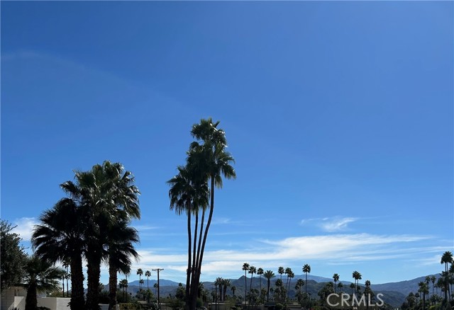 Image 1 of 30 For 1435 Tiffany