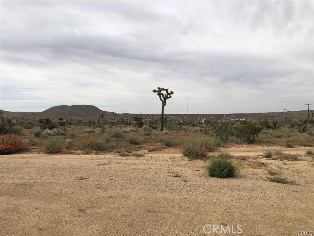 Detail Gallery Image 6 of 7 For 6650 La Contenta Rd Rd, Yucca Valley,  CA 92284 - – Beds | – Baths