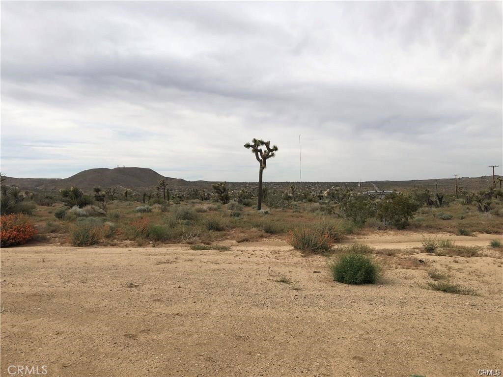 MLS #JT25263689 image #5