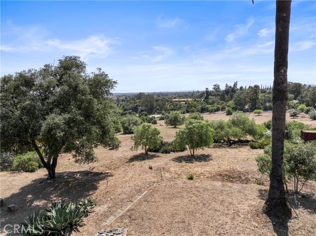 3210 Live Oak Park Rd, Fallbrook, California 92028, ,Residential Land,For Sale,Live Oak Park Rd,SW24116983