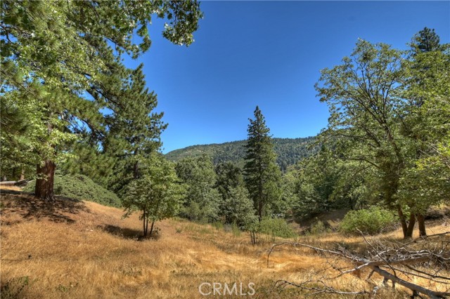 Detail Gallery Image 46 of 54 For 30184 Skyline Dr, Running Springs,  CA 92382 - 3 Beds | 2/1 Baths