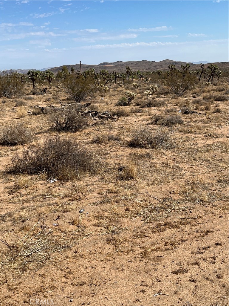 MLS #JT25190838 image #4