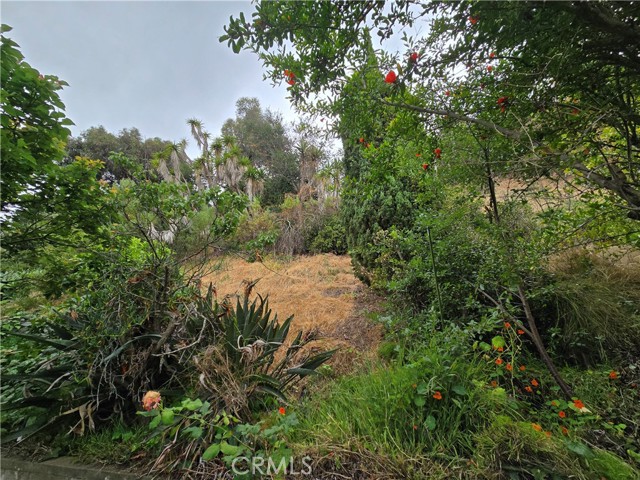 3920 Bluff Street, Torrance, California 90505, 4 Bedrooms Bedrooms, ,2 BathroomsBathrooms,Single Family Residence,For Sale,Bluff,SB25128272