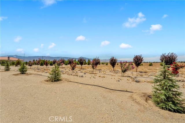 Detail Gallery Image 59 of 73 For 3002 Estero Rd, Pinon Hills,  CA 92372 - 4 Beds | 3/1 Baths