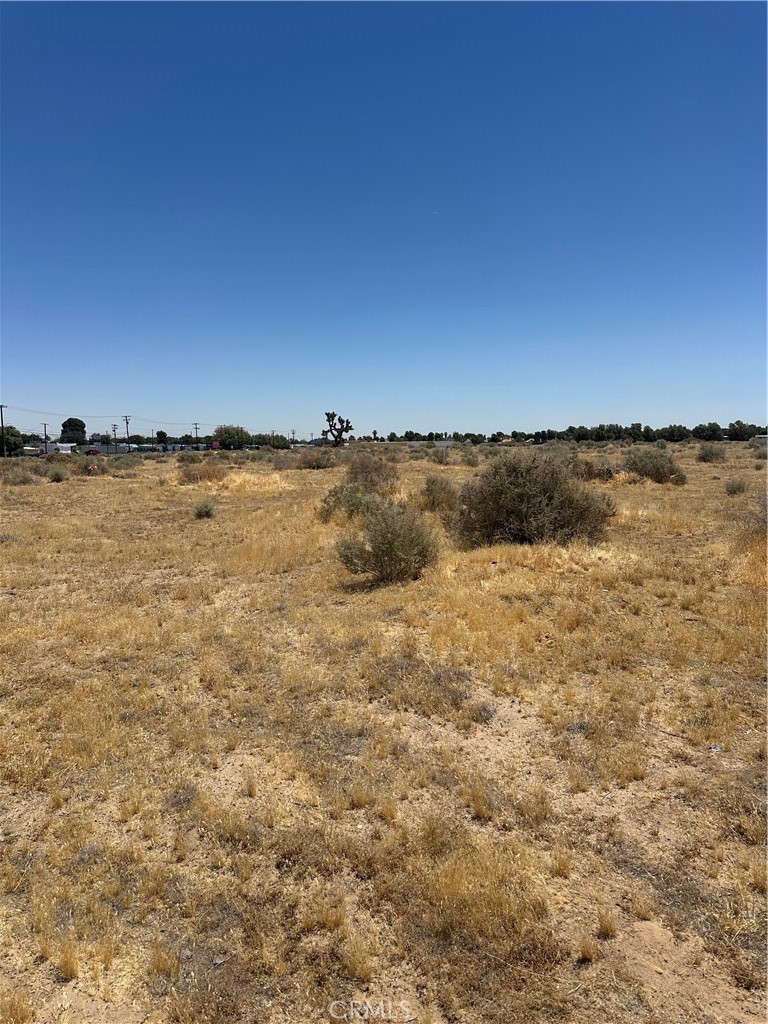 MLS #SR26132946 image #4