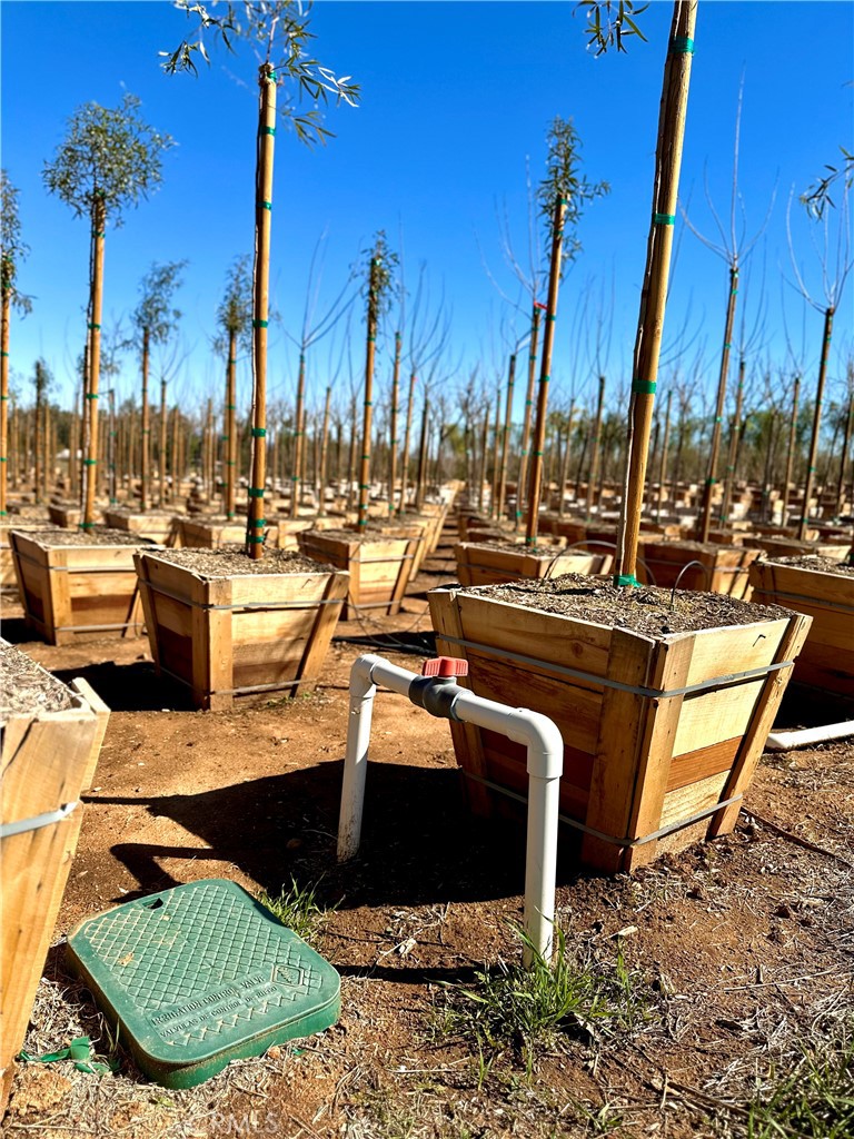 MLS #IV25035655 image #19