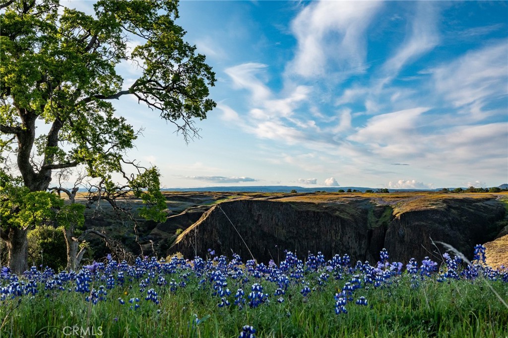https://media.crmls.org/medias/bc833716-596f-498a-ad54-6cc908d44471.jpg?preset=X-Large