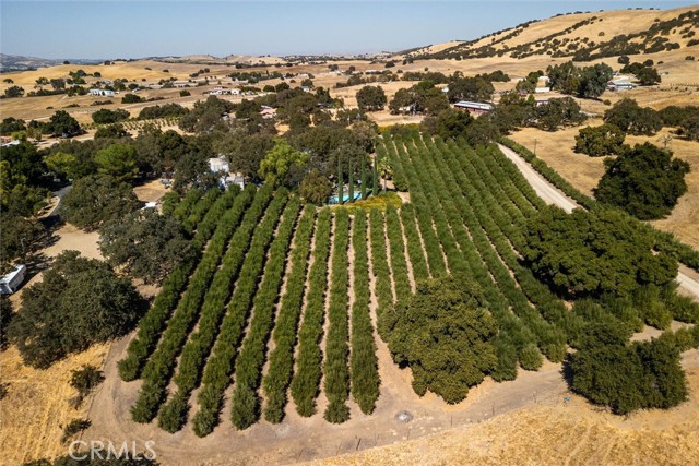 Detail Gallery Image 61 of 65 For 2985 Templeton, Templeton,  CA 93465 - 3 Beds | 2 Baths