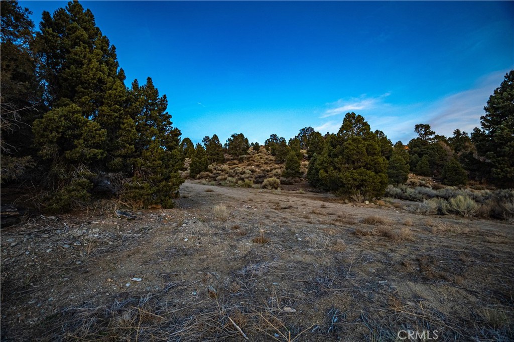 MLS #IG25074074 img 4