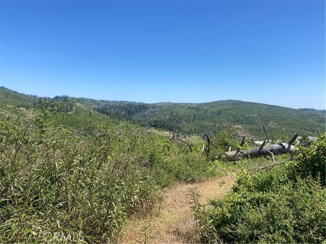 Detail Gallery Image 4 of 7 For 3510 Stone Mountain Rd, Oroville,  CA 95965 - – Beds | – Baths