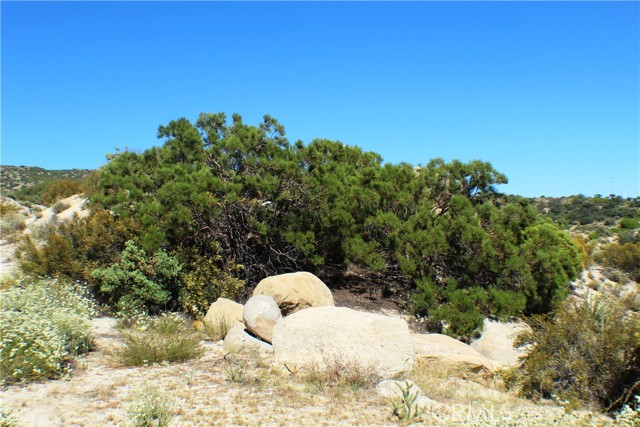 42560 Labrinia Lane, Anza, California 92539, ,Land,For Sale,42560 Labrinia Lane,CRSW22002848