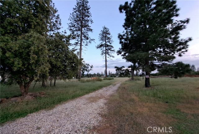Detail Gallery Image 3 of 17 For 1380 Pearson Rd, Paradise,  CA 95969 - – Beds | – Baths