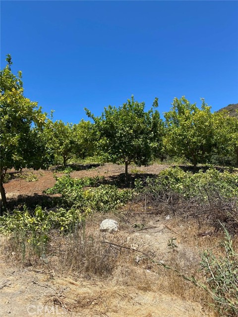 0 El Calamar Rd, Temecula CA: https://media.crmls.org/medias/bc96f161-1d1c-4b06-a12e-98c6022b84f9.jpg