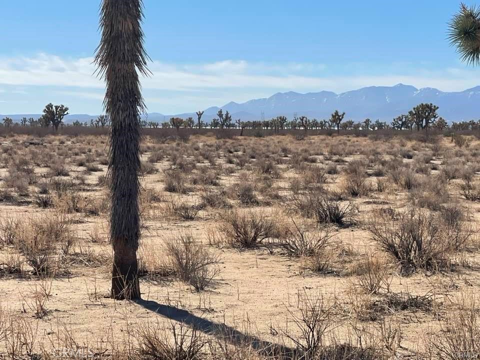 MLS #HD25000657 image #27