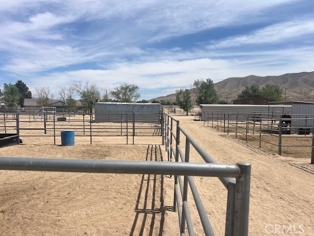 19821 Danielle Way, Apple Valley CA: https://media.crmls.org/medias/bc9e369c-fa16-42a8-8e6b-5ce138e44e8d.jpg