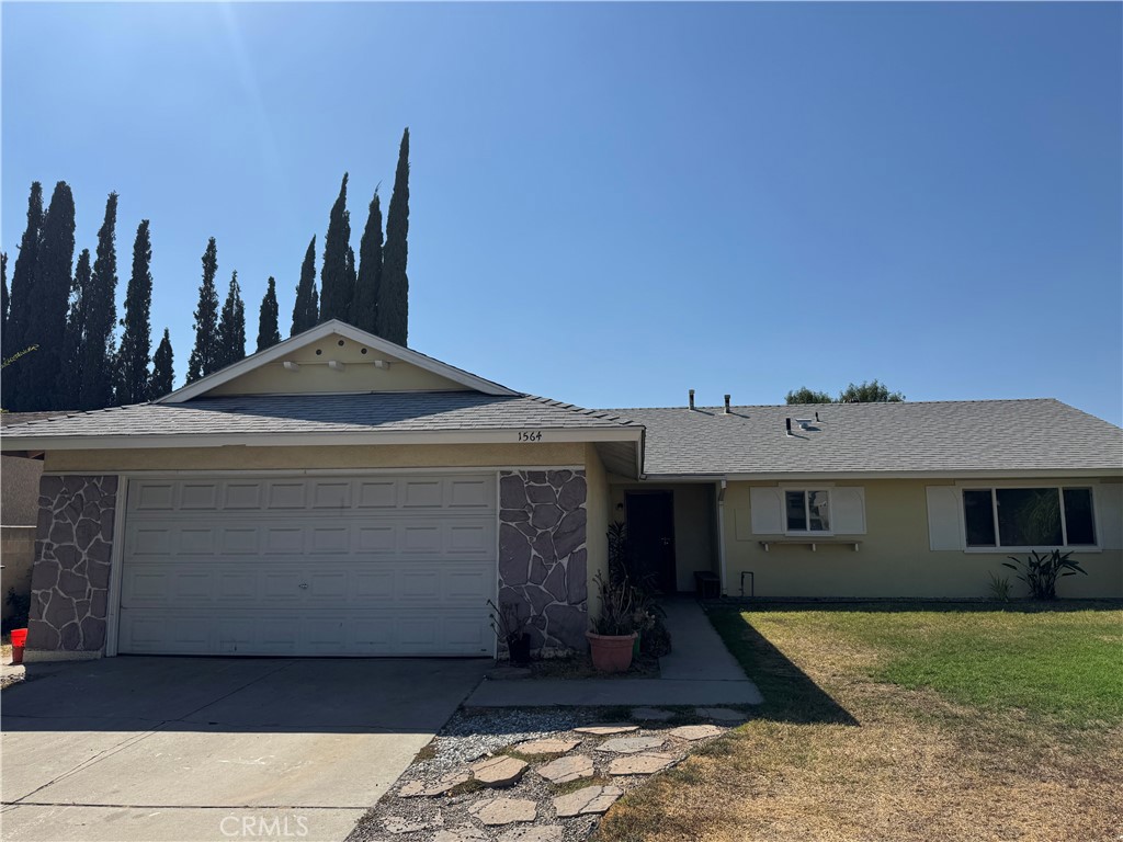 1564 Olive Tree Lane