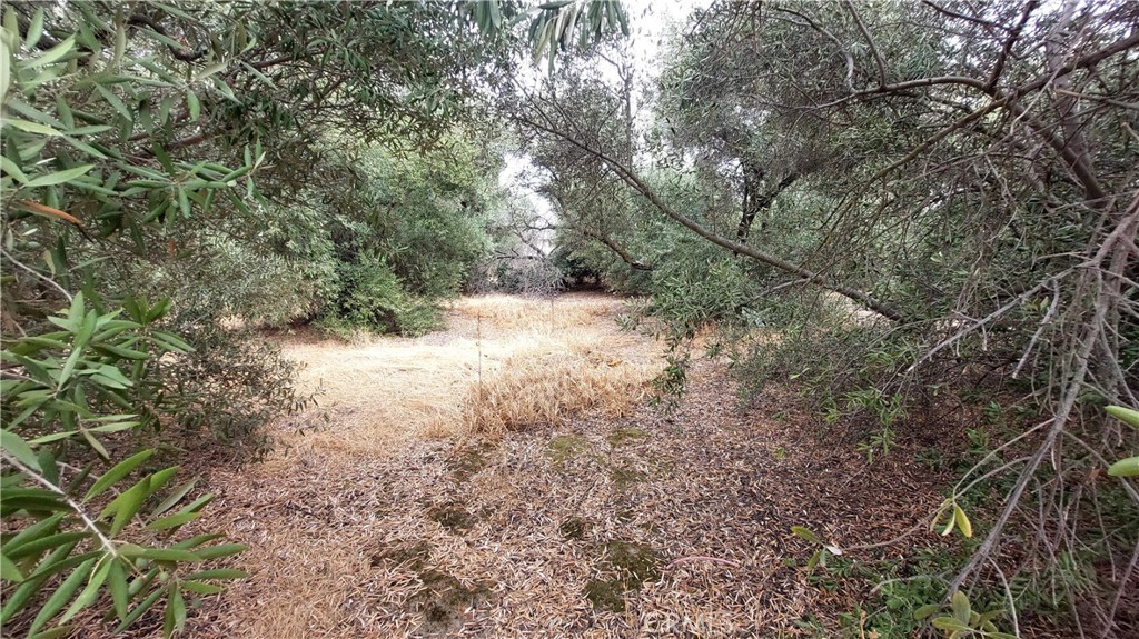 https://media.crmls.org/medias/bc9f43d3-16a6-45ee-88f8-f0ce31ba9012.jpg?preset=X-Large