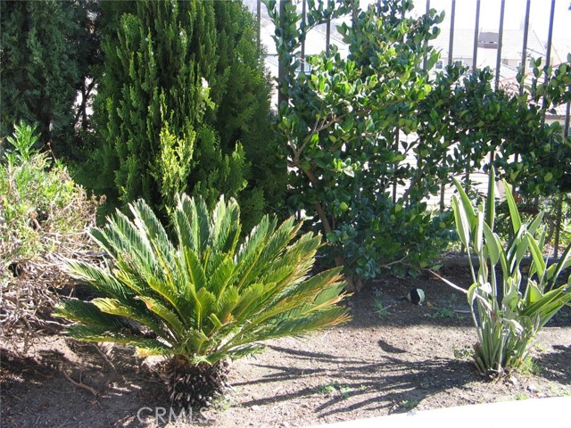 27720 Elderberry Street, Murrieta CA: https://media.crmls.org/medias/bca2364b-6067-4380-8cc1-32f28362bdcf.jpg
