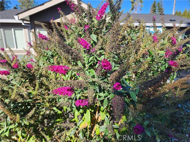 Detail Gallery Image 40 of 48 For 13685 W Park Dr, Magalia,  CA 95954 - 3 Beds | 2 Baths