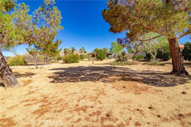 59019 Pueblo Trail, Yucca Valley CA: https://media.crmls.org/medias/bcabac7b-c32a-49e0-a431-f0fe8be031b9.jpg