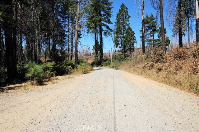 Detail Gallery Image 41 of 43 For 268 Milsap Bar Rd, Berry Creek,  CA 95916 - 3 Beds | 1 Baths