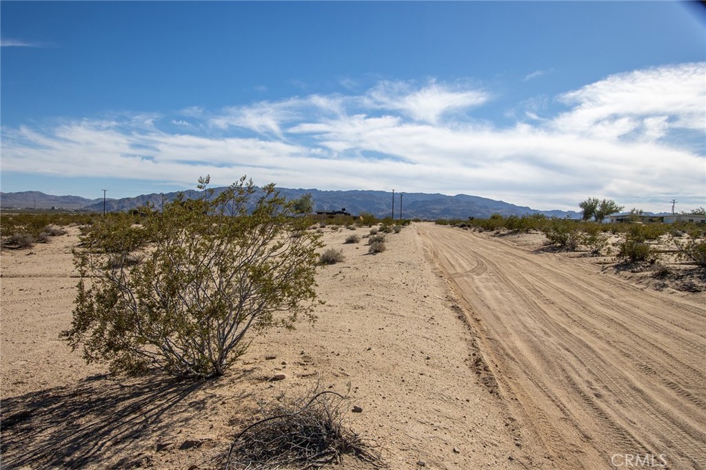 MLS #JT25255068 image #7