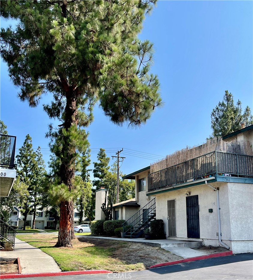 MLS #WS25085542 img 7