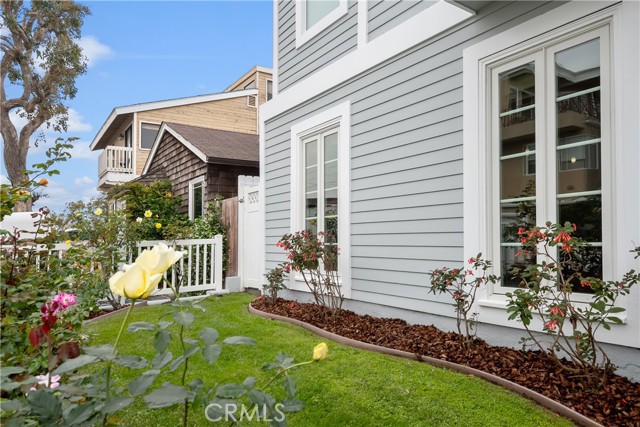 Frontyard