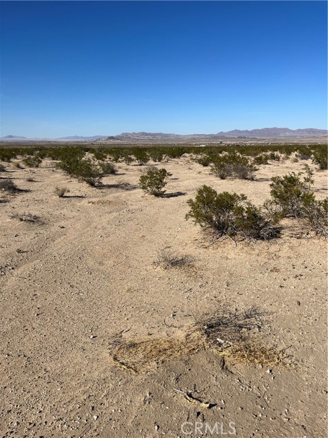 0 Primrose Lane, Twentynine Palms, California 92277, ,Land,For Sale,0 Primrose Lane,CRJT23210451