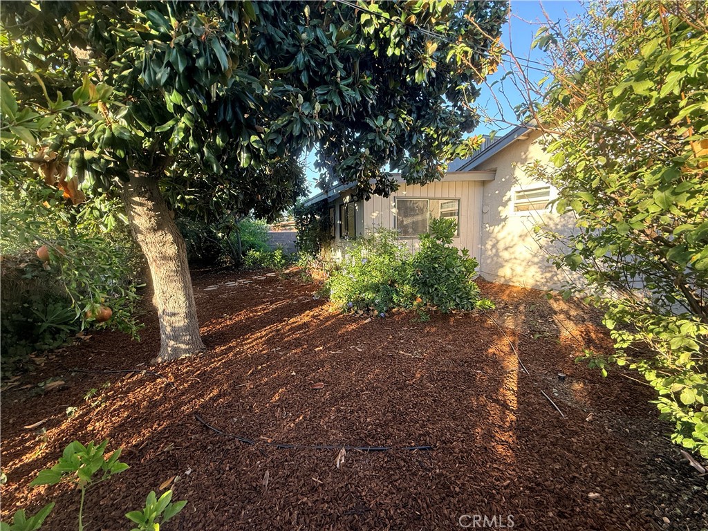 https://media.crmls.org/medias/bccaf143-5c88-4c12-ac65-ca40181c6fd9.jpg?preset=X-Large