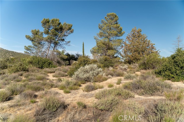 Detail Gallery Image 61 of 71 For 61826 Spanish Dagger Ln, Anza,  CA 92539 - 2 Beds | 2 Baths