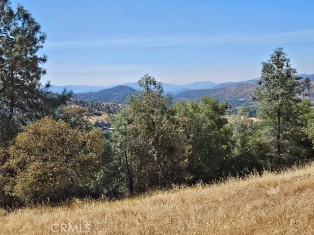 Detail Gallery Image 13 of 18 For 5640 Blue Oak Ridge Rd, Mariposa,  CA 95338 - – Beds | – Baths
