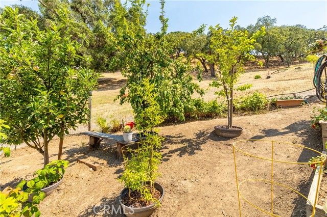9555 Santa Cruz Road, Atascadero CA: https://media.crmls.org/medias/bcd78b51-9173-4f3e-af01-6cd3018aa2c8.jpg