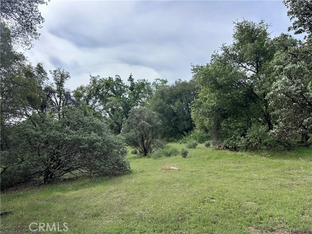 3038 Country Court, Mariposa CA: https://media.crmls.org/medias/bcd81148-9da7-4ba8-a8ca-e0efe4479205.jpg