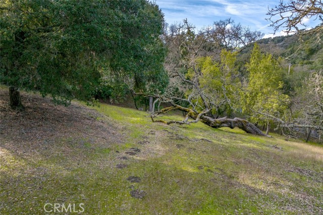 Detail Gallery Image 9 of 12 For 0 Lot 12 Morro Rd., Atascadero,  CA 93422 - – Beds | – Baths